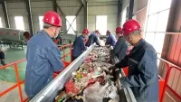 Manual Sorting Conveyor