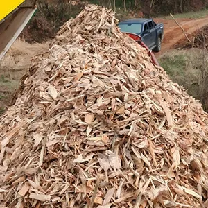 Waste Wood