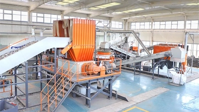 Municipal Solid Waste (MSW)